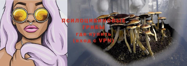 дмт Алексин