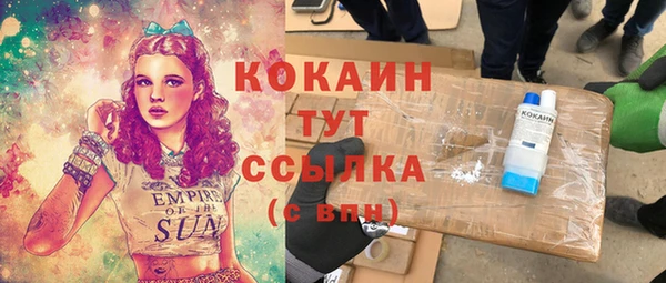 дмт Алексин