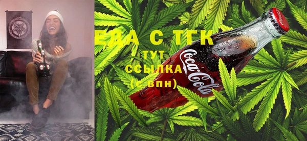 дмт Алексин