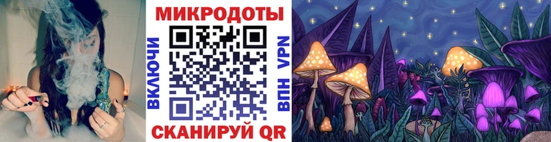 продажа наркотиков  Заинск  Псилоцибиновые грибы Cubensis 